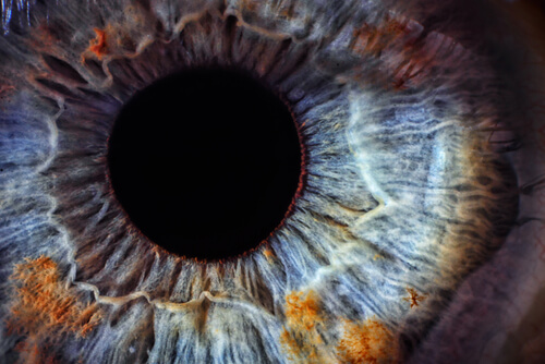 eyes1