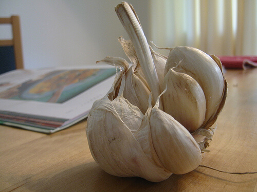 garlic