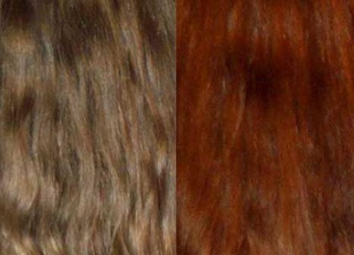 Dying Your Hair with Natural Extracts Is Possible