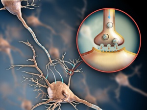 6 Ways to Strengthen Your Nervous System