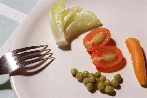 plate of a dieter with small amounts of vegetables