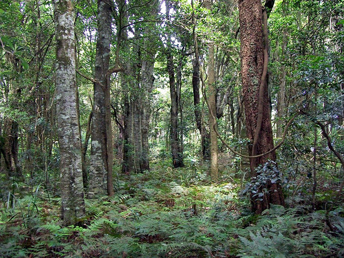 Robertson-Nature-Reserve