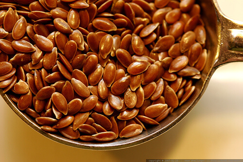 linseed-sean-dreilinger