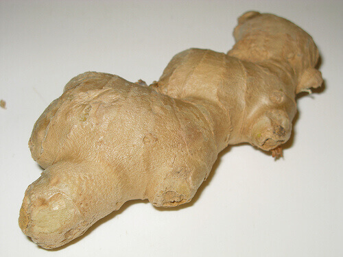 Single piece of ginger