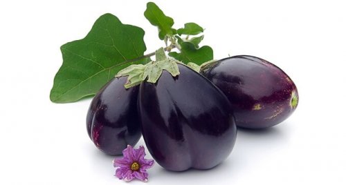 Lose weight with Eggplant Water
