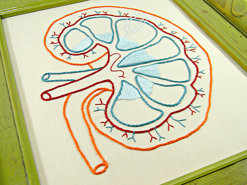 Symptoms of Kidney Problems