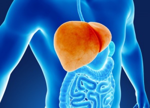 6 Habits that Damage Your Liver