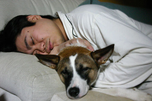 A man sleeping with a dog.