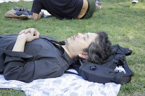 A man asleep in a park.