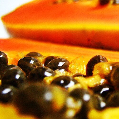 Papaya seeds close up