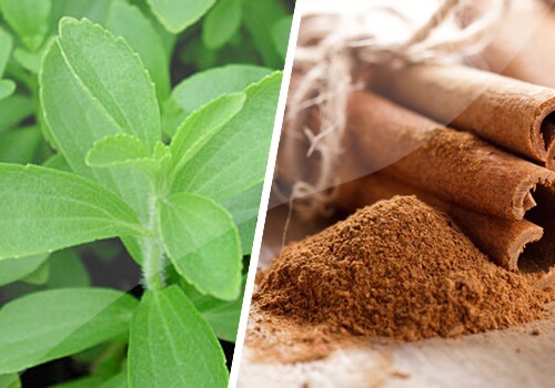 Cinnamon and Stevia: Great Sugar Alternatives