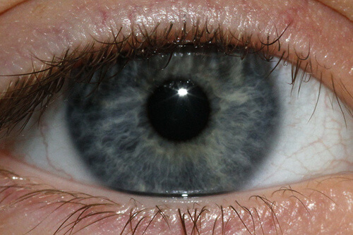 The color of your eyes when they are blue