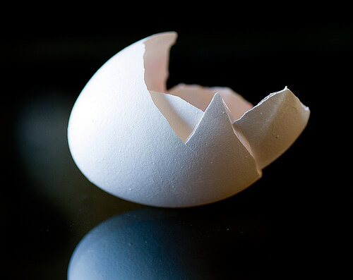 Egg shells are rich in calcium