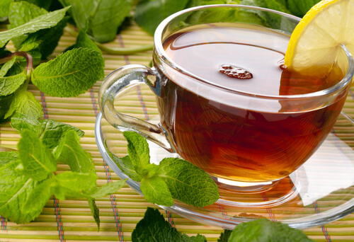 Medicinal Plants to Relieve Intestinal Discomfort