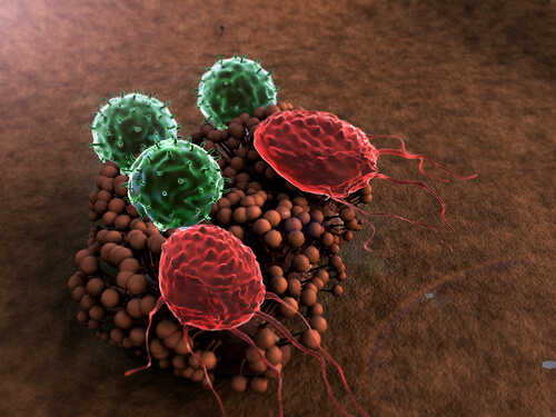 5 Symptoms of a Weakened Immune System