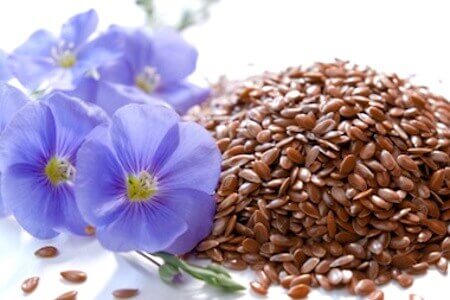 purple flowers and linseed