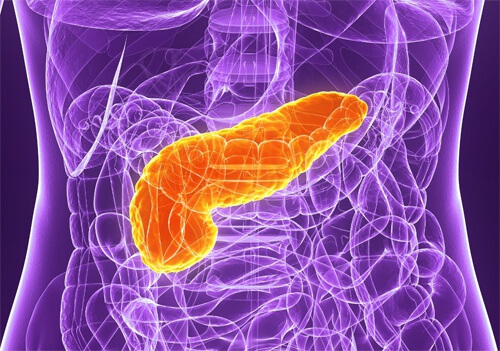5 Tips for Taking Care of Your Pancreas