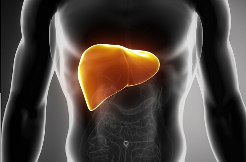 How to Treat Fatty Liver Naturally