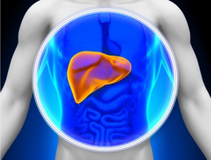 What are some natural treatments to treat fatty Liver?