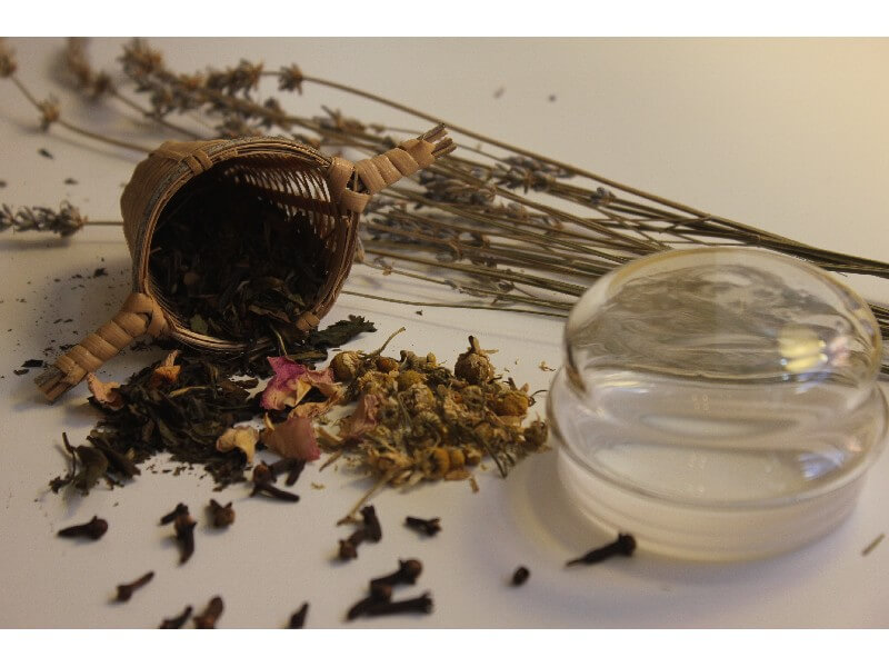 Herbal Remedies for Leg Circulation Step To Health