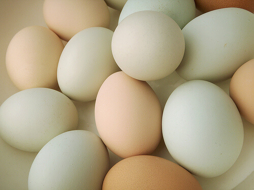 Eggs to be included in the healthiest dinner