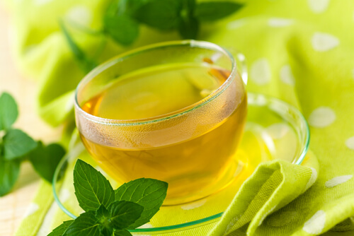 cup of herbal tea