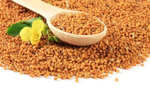 Mustard seed with a wooden spoon