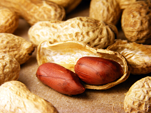 ALT TITLE nuts-2