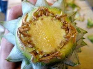 pineapple with no crown