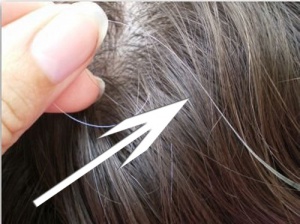 Here are the Myths and Facts About Gray Hair