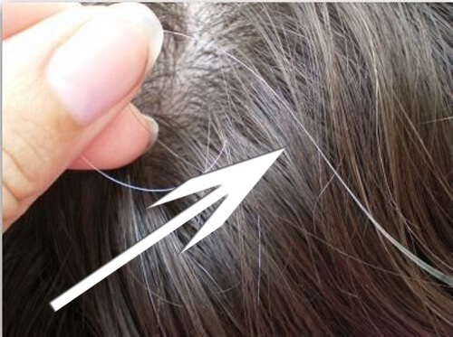 Here are the Myths and Facts About Gray Hair