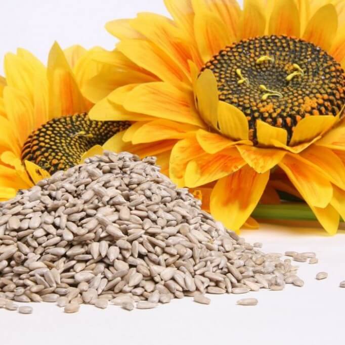 The Best Seeds for Weight Loss - Step To Health
