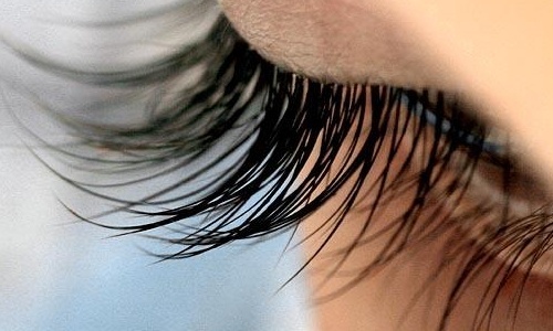 6 Vegetable Oils for Beautiful Eyelashes