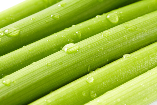 Celery with water droplets.