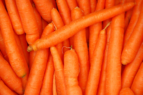 Several fresh carrots.