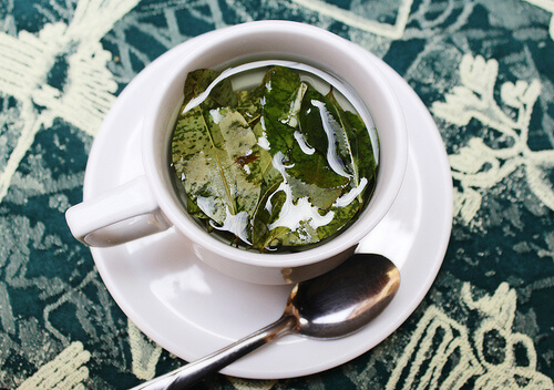 tea-to-treat-gingivitis