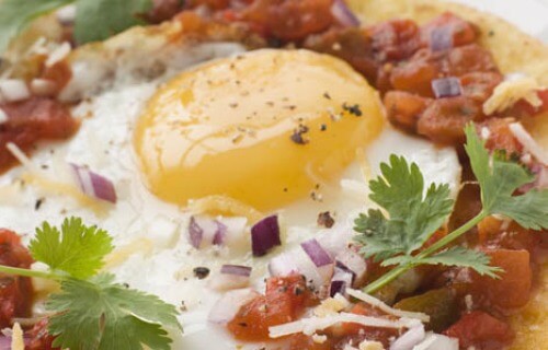 ALT TITLE Eggs