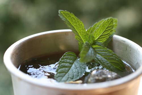 Mint tea.