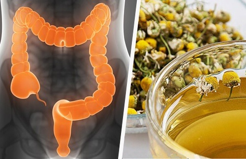 Cleanse Your Colon with Medicinal Herbs