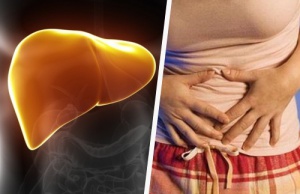 Indicators of Liver Problems and How to Fight Back