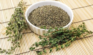 Thyme.