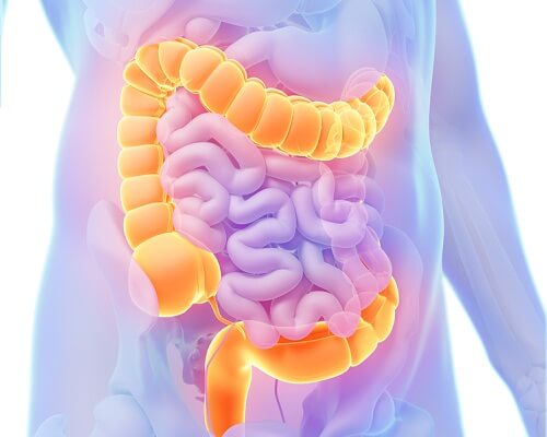 Colon may be causing your right abdominal pain