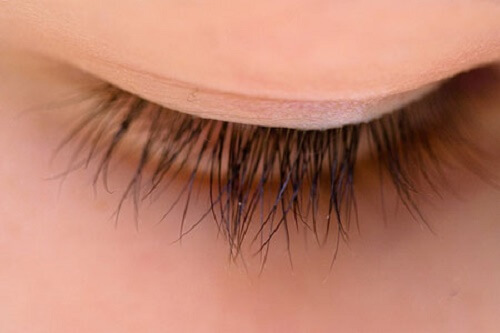 perfect eyelashes-2