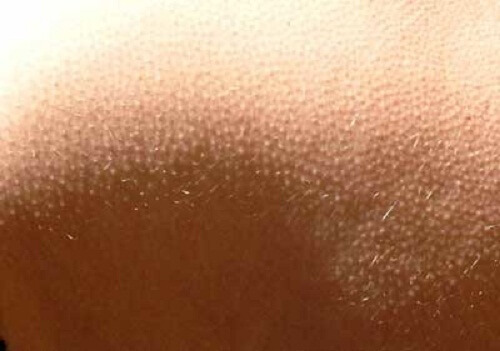 9 Things About the Human Body You Probably Didn't Know