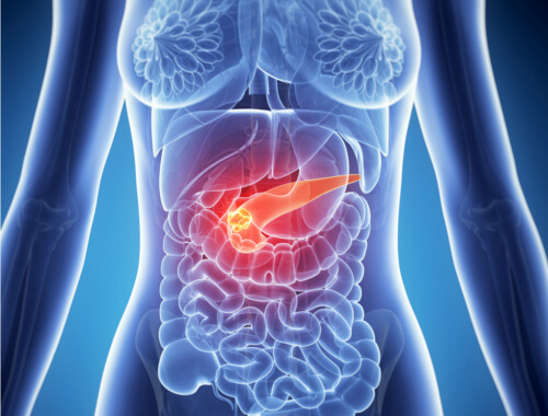 Pancreas pain may be your abdominal pain