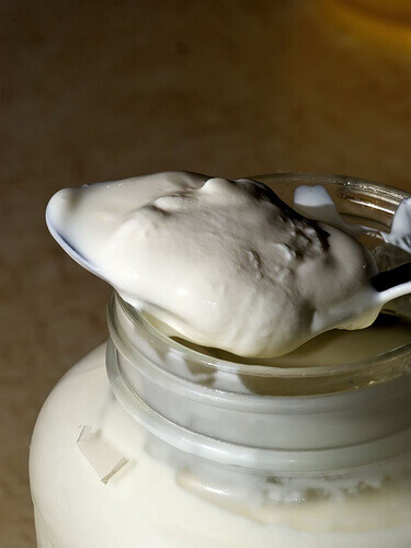 Picking up greek yogurt from a jar using a spoon reduce belly fat