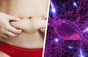 Balance your Hormones to Burn Fat