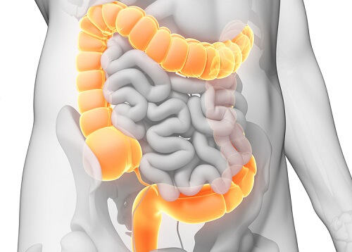 do-it-yourself colon cleanse