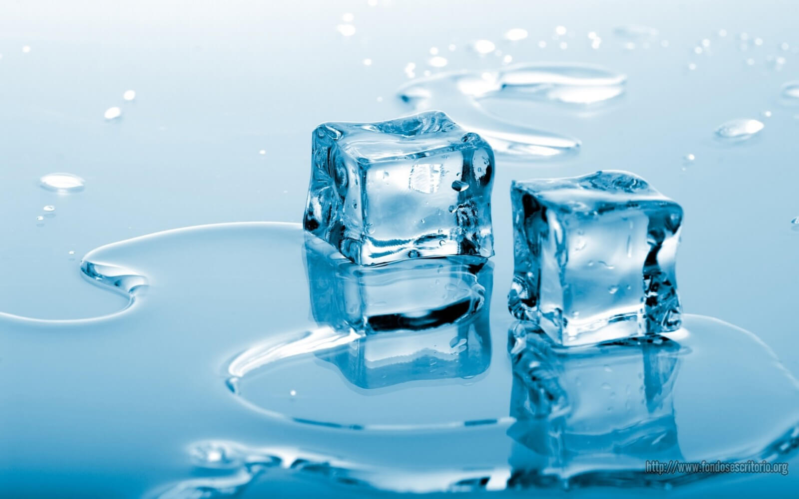 Two ice cubes melting on a piece of glass