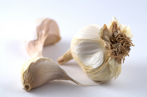 garlic